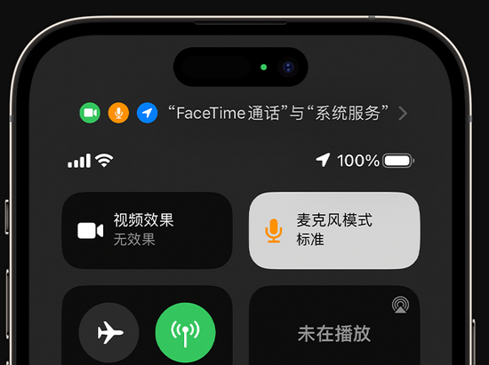 定南苹果授权维修网点分享iPhone在通话时让你的声音更清晰 