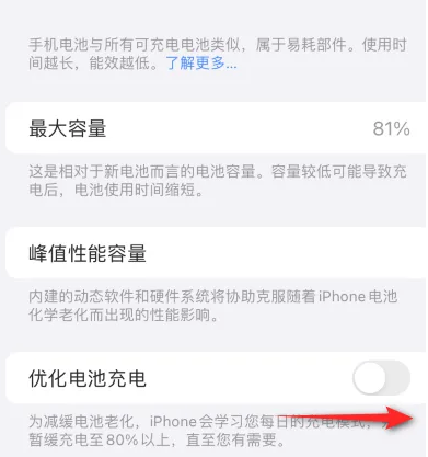 定南苹果15维修分享iPhone15充电到80%就充不进电了怎么办 