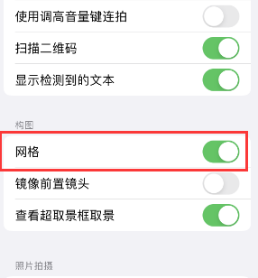 定南苹果手机维修网点分享iPhone如何开启九宫格构图功能 