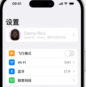 定南appleID维修服务iPhone设置中Apple ID显示为灰色无法使用 