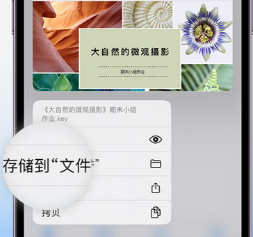 定南apple维修中心分享iPhone文件应用中存储和找到下载文件