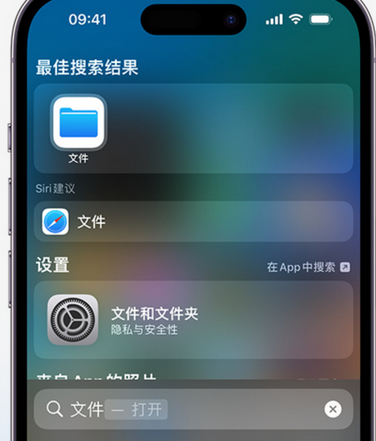 定南apple维修中心分享iPhone文件应用中存储和找到下载文件 