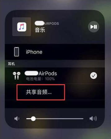 定南苹果14音频维修点分享iPhone14音频共享设置方法 