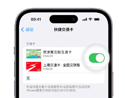 定南apple维修点分享iPhone上更换Apple Pay快捷交通卡手绘卡面 