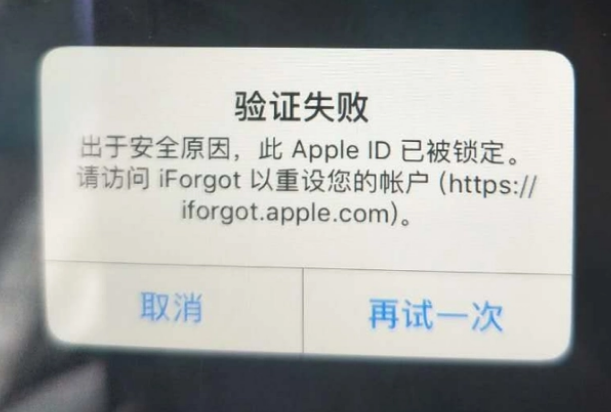 定南iPhone维修分享iPhone上正常登录或使用AppleID怎么办 