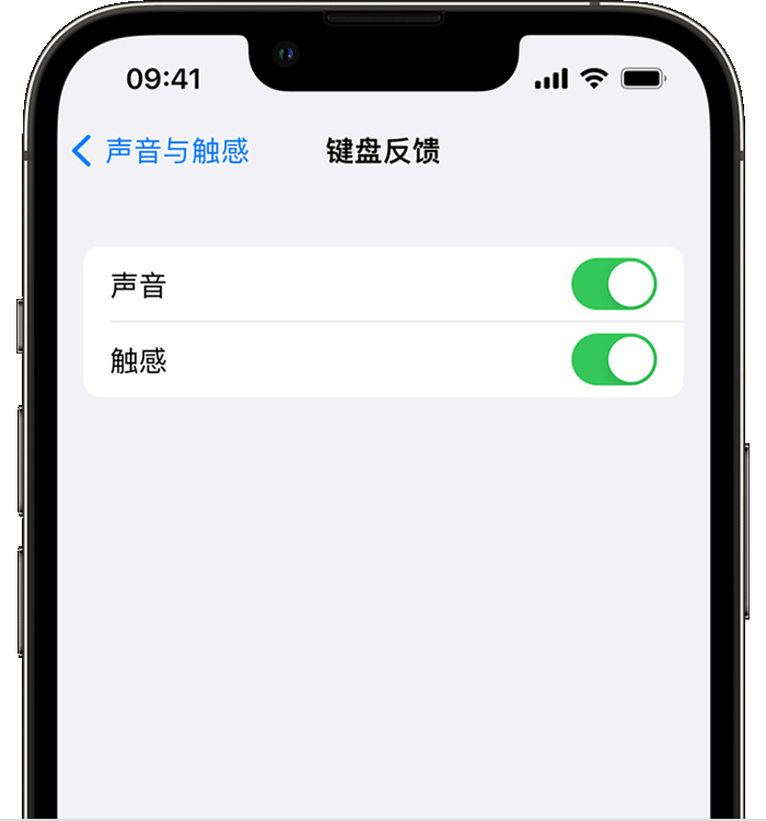 定南苹果14维修店分享如何在 iPhone 14 机型中使用触感键盘 