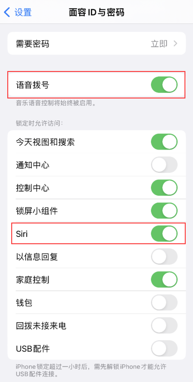 定南苹果维修网点分享不解锁 iPhone 的情况下通过 Siri 拨打电话的方法 