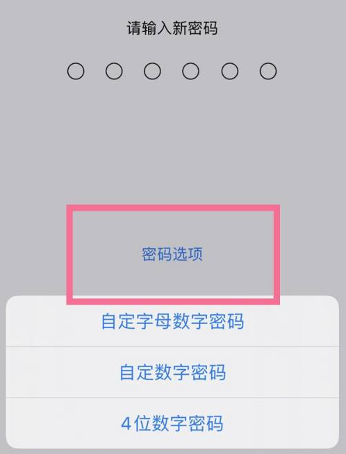 定南苹果14维修分享iPhone 14plus设置密码的方法 