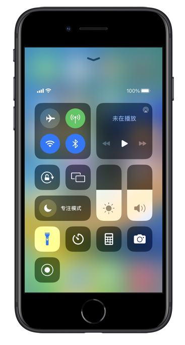 定南苹果14维修分享苹果iPhone 14 Pro手电筒开启方法 