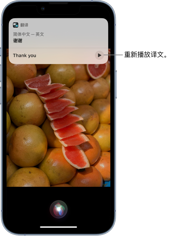 定南苹果14维修分享 iPhone 14 机型中使用 Siri：了解 Siri 能帮你做什么 