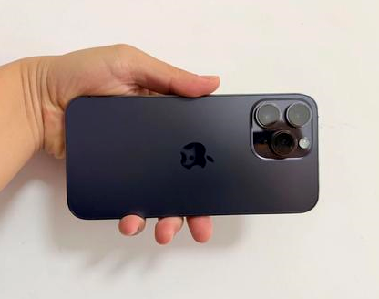 定南苹果维修点分享iPhone 14 Pro Max发烫多重诱因剖析 